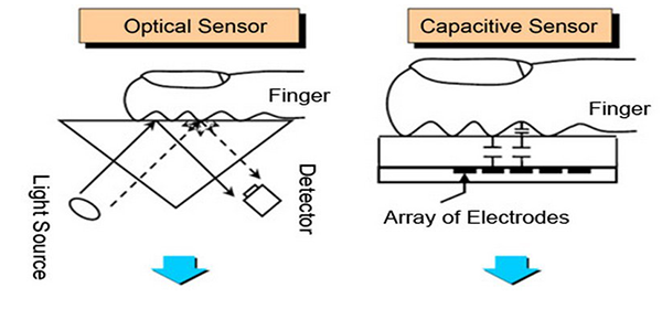 光學與電容式指紋辨識原理